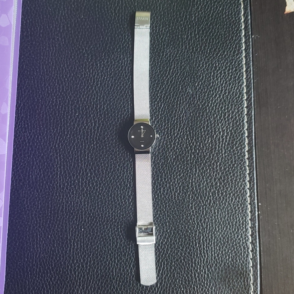 Ladies Skagen watch